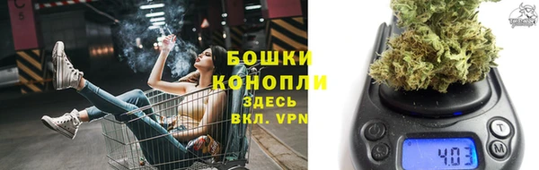 шишки Арсеньев