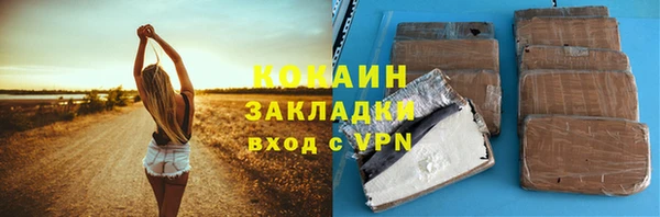 шишки Арсеньев