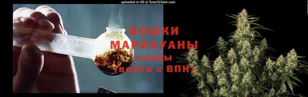 шишки Арсеньев