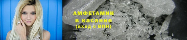 шишки Арсеньев