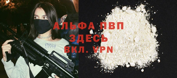 шишки Арсеньев