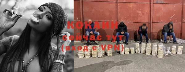 шишки Арсеньев