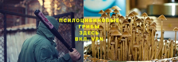 шишки Арсеньев